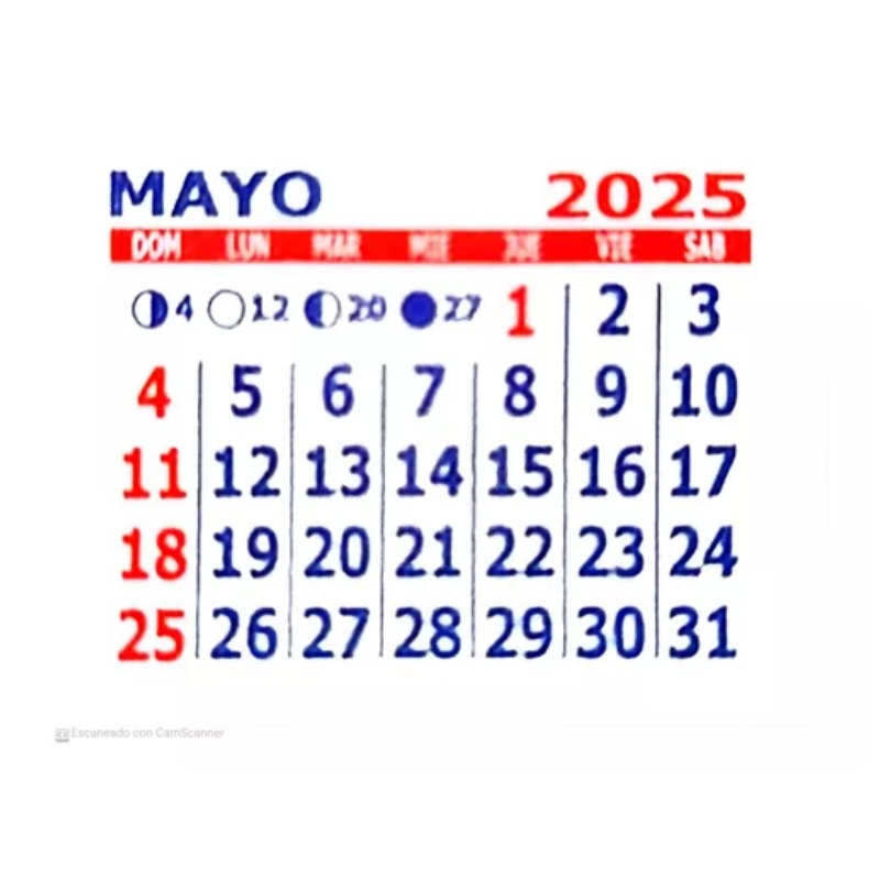 Calendario Mensual 2025 Mignon De 5 X 5 Cm (ml-5)